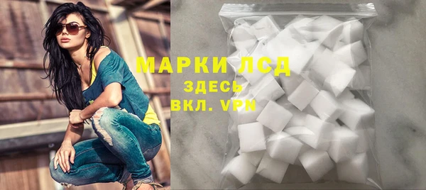 индика Богданович