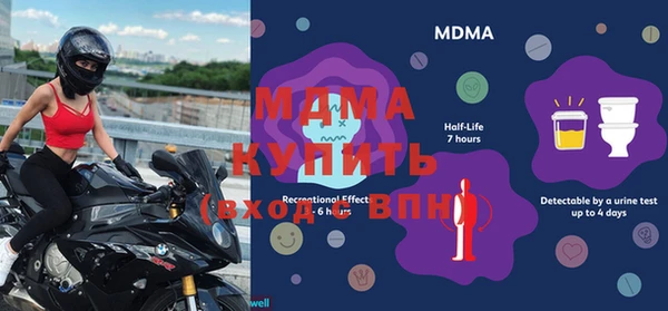 индика Богданович