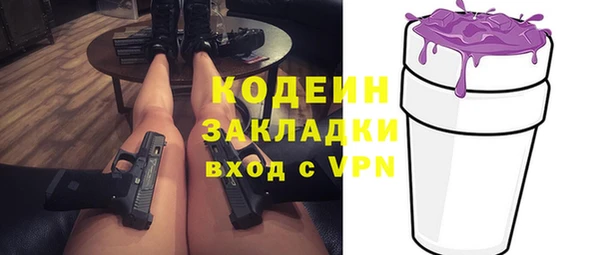 индика Богданович