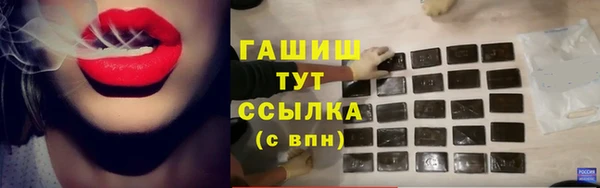индика Богданович
