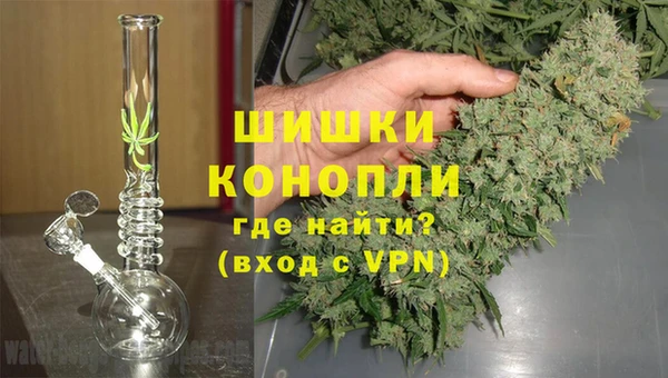 индика Богданович