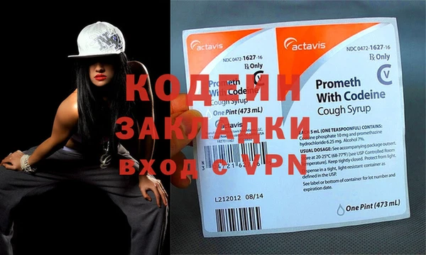 индика Богданович