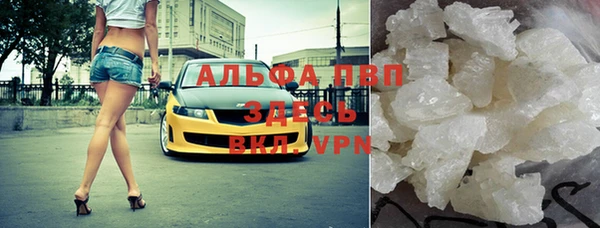 индика Богданович