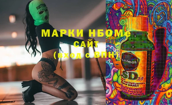 индика Богданович
