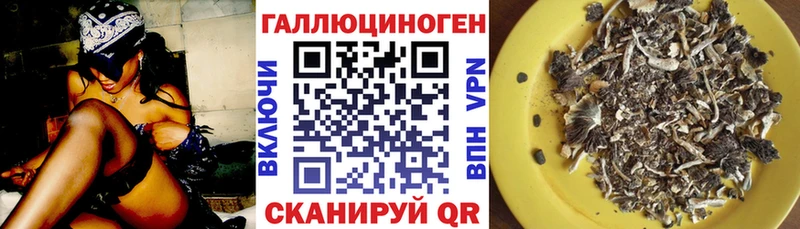 Купить закладки  Ленск  Псилоцибиновые грибы ЛСД 